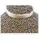 Cassia Seed Roasted Seeds And Nuts Bulk Packaging Selected Large Particles