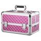 Rose PVC Beauty Case Waterproof Aluminum Makeup Case For Travel Portable Cosmetic Case
