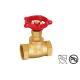 Female And Male Threaded Straight Through Type Drain Valve Brass Stop Valve Renewable Seat And Disc