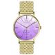 36.0mm MOP dial mesh band stainless steel watches for women ,dual time luxury