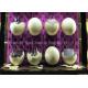 Artificial Egg Shell Window Display Decorations , Shop Window Decoration