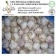 HIGH QUALITY GARLIC WITH CHEAP PRICE