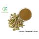 ISO Passes Pure Natural Herbal Extract / Tribulus Terrestris Extract 40%-90% Saponins