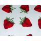 Red Strawberry Printed Cotton Canvas / Anti Dirt Baby Cotton Fabric
