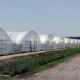 Seedling Cultivation Juxiang Hydroponic Farm Film Greenhouse with Customized Request