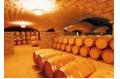 A abundant wine culture museum travels  Yantai of China