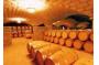 A abundant wine culture museum travels  Yantai of China