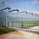 Flowers Planting Clear Film 9m Multi Span Greenhouse Sturdy Stable