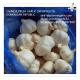 2018 Fresh China Garlic Price Professional big size garlic with low price