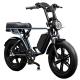 Full Suspension 48V Fat Tire Electric Bike 750W With LCD Display And Rear Hub Motor