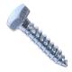 Latest Stock Size M6 - M20 A2 A4 Stainless Steel 304 316 Hex Lag Wood Screw
