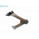 Dupont 2.54mm Flat Ribbon Cable Assembly Male And Female To FC 10 Pin IDC Connector