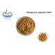Food Grade 50% Fenugreek Seed Extract Fenugreek Saponins Powder
