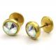 Fashion High Quality Tagor Jewelry Stainless Steel Earring Studs Earrings PPE118