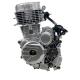 4 Stroke DAYANG YF150 Engine for HOYUN Haojin Wanxin Zongshen Loncin Lifan Motorcycles