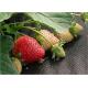 Garden Plant Protection Covers Nonwoven Fabric , Air Permeable Landscape Cloth