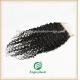 Lace top closure 5''x5'' ,brazilian virgin hair natural color deep curly 10''-24''length