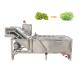 Green Beans Citrus Washing Machine With CE Certificate