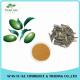 High Quality Olive Leaf Extract Oleuropein 25%