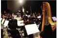Cangzhou Middle School Students Symphony Concert