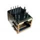 RB1-245BAD1A Magnetic Rj45 Integrated 10/100 Lan Tab Down Through Hole