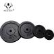 Black Painting Cast Iron Weight lifting weight Plate For Gym