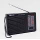 Customizable Logo AM FM Radio Receiver with Compact Size and Powerful Performance