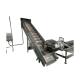 Stainless Steel Food Grade Mango Juice Peeling Processing Line 300 - 500/h