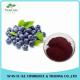 Hot Selling Blueberry Extract 99% Pterostilbene Powder CAS NO:537-42-8