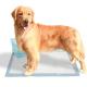 Tissue paper Fluff Pulp SAP Disposable Pet Pads For Dogs