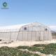 Agricultural Tunnel PE Film Greenhouse With Drip Irrigation System