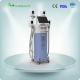 Lipo Cryo Cryotherapy Fat Freezing Cryolipolysis Machine For Salon Use