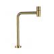 Cold Water Basin Tap Mixer SUS304 Bibcock High Long Spout Single Deck Mounted Brushed Gold Golden