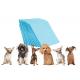 Disposable Dog Pet Training Pad Biodegradable Soft For Puppy