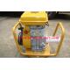 CLASSIC(CHINA) Vibrator Concrete For Sale Gasoline Small Portable Hose Honda Robin EY20
