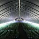 Automatic Ventilation Light Deprivation Greenhouse With UV Resistant Polyethylene Film