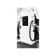 Floor Standing Commercial 60kw DC EV Charging Pile Electric Car Charging Station 2 Types