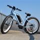 26 Inch Full Suspension Electric Mountain Bike Wattage 351 - 500w With Middle Drive Motor