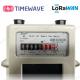 Secure Smart Gas Meter Wireless LoRaWAN Based 1.6 / 2.5 / 4.0m3/H