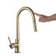 Single Handle Gold Stainless Steel Kitchen Faucet Pull-Out Nozzle and Traditional Style