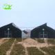 Single-Span Agricultural Greenhouses for Commercial Stable Structure Easily Assembled