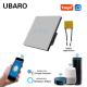 Eu Standard 3gang Tuya App Intelligent Switch Remote/Voice/Timing Smart WIFI Switch Sharing Control 5-400W/gang