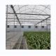 Multi Span Poly Film Greenhouse for Agriculture Optional Cooling and Irrigation System