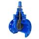 Water Ductile Y Type Gate Valve with Flange Connection and Stainless Steel Material