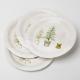 LFGB Biodegradable Paper Plates Compostable Potted Plant Birthday Party Supplies Tableware Set