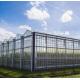 Steel Structure Venlo Hydroponics Growing System for Hydroponic Vegetable Cultivation