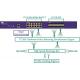 Inline Network Tap Embedded Tap Replicator and Tap Aggregator with Smart Bypass