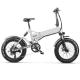 High Torque Folding Electric Fat Tire Bike 500W With 20 Inch LCD Display
