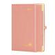 6.5inch X 8.5inch Weekly Planner 2023 Softcover Monthly Tabs Elastic Band Pink