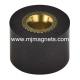 plastic Injection bonded magnet for automotive